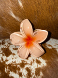 Hair Clip